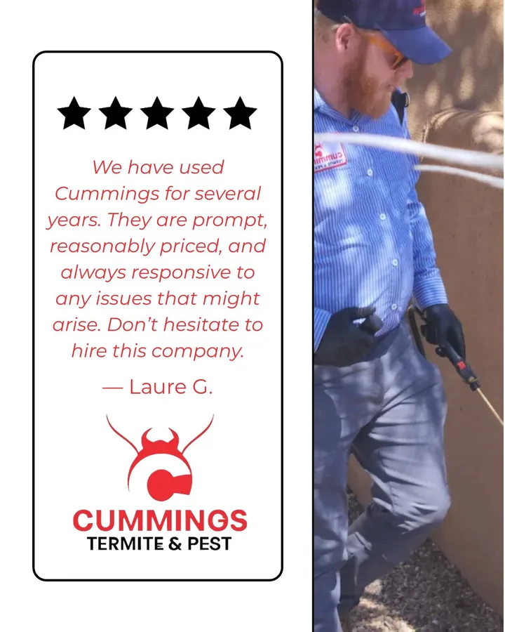 Five-star Cummings customer review beside a technician treating an Arizona home
